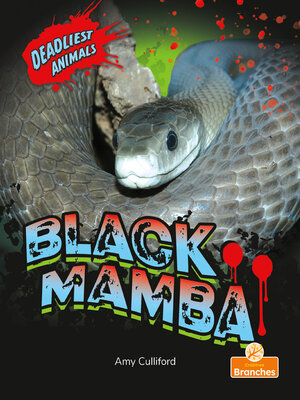 cover image of Black Mamba